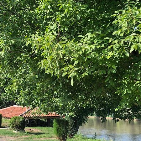 Apartmani Morava 54 Kocino Selo Ngoại thất bức ảnh
